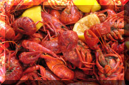 Louisiana+crawfish+boil+seasoning